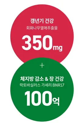 갱년기 영양제 추천 TOP5 비교