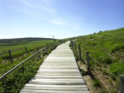 제주도 2박3일 여행코스 패키지 즉시해결