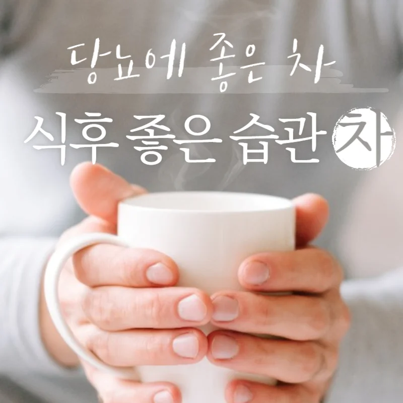 당뇨에 좋은 차 10가지 식후 좋은 습관으로 건강 관리!