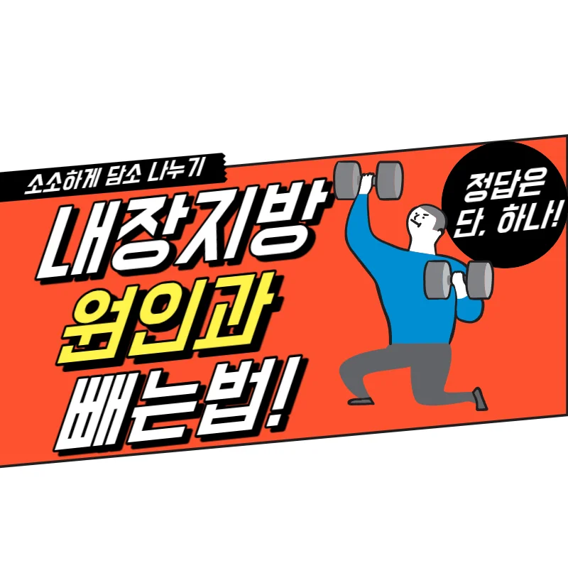 마른비만 내장지방 빼는법 생활습관이 개선되어야 한다!