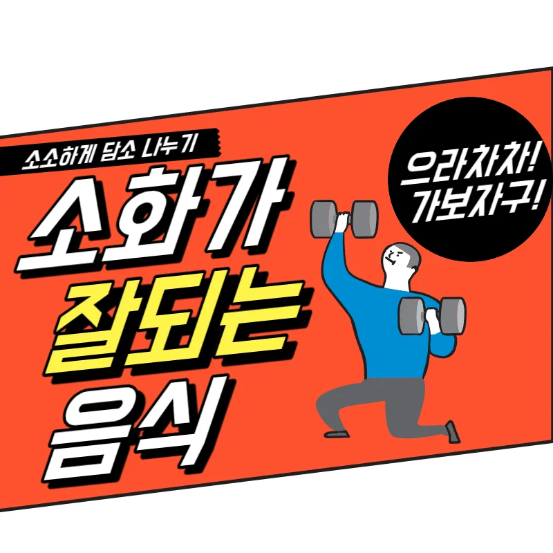 소화가 잘되는 음식 11가지는 대체로 식이섬유가 풍부하다!