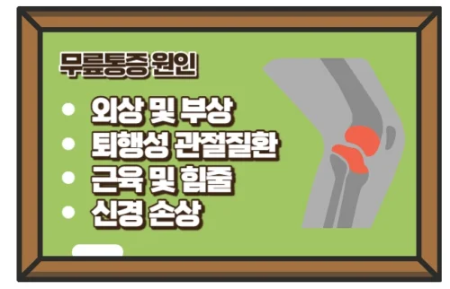 무릎통증 원인과 증상을 모르면 개선할 수 없다!