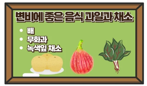 변비에 좋은 음식 5가지 카테고리 식단 짜기!