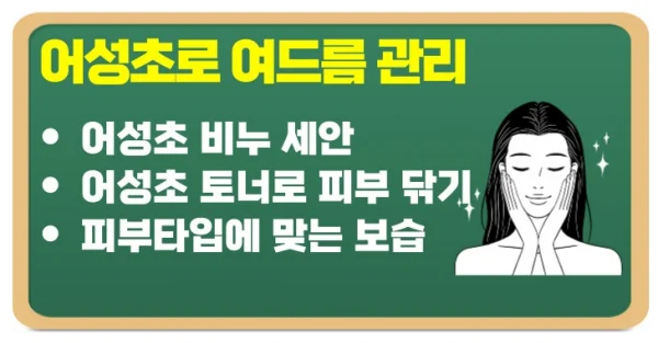 어성초 비누와 토너로 여드름 관리