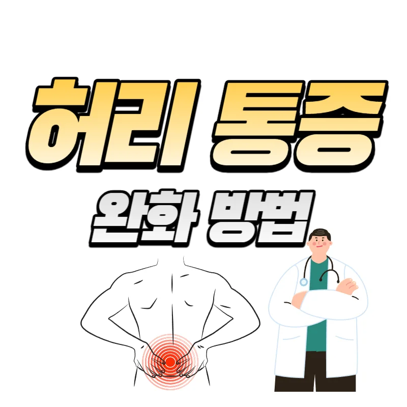 허리 통증 완화 방법 건강한 일상생활 되찾기