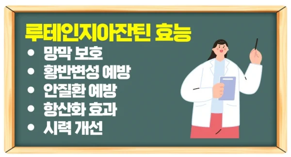 눈 건강 영양제 루테인 추천과 효능까지 지나치면 후회합니다!