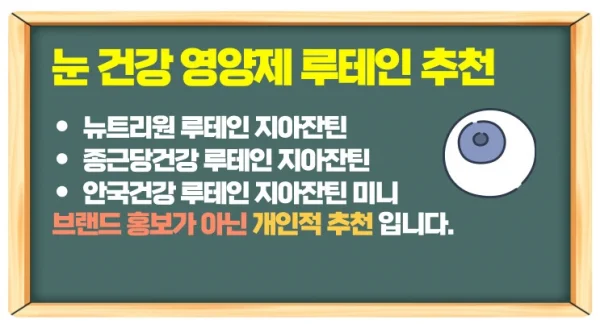 눈 건강 영양제 루테인 추천과 효능까지 지나치면 후회합니다!