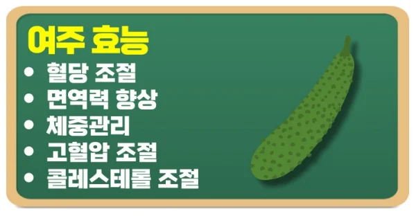 천연 식물성 인슐린 여주 효능으로 혈당조절