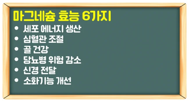 마그네슘 효능과 많은음식 또는 영양제로 부족증상 개선 및 하루권장량 추천