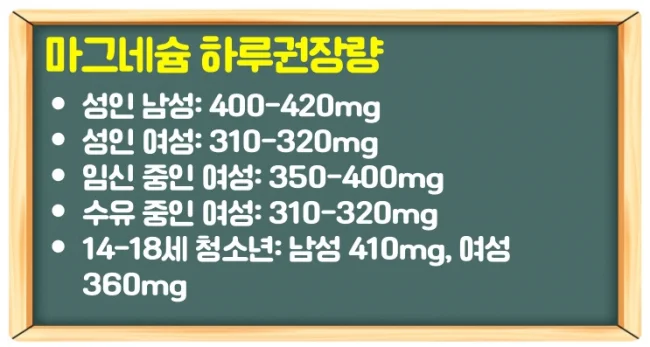 마그네슘 효능과 많은음식 또는 영양제로 부족증상 개선 및 하루권장량 추천