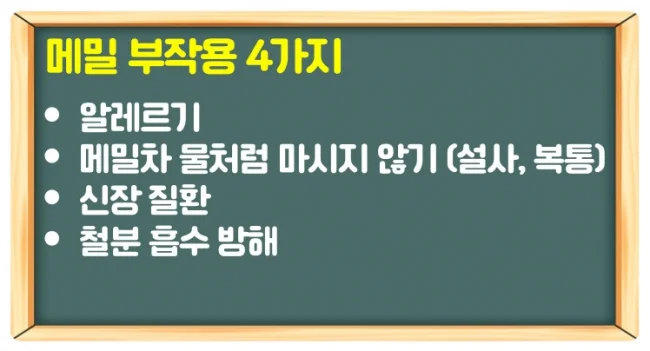 메밀 효능 6가지를 식후 차로 마셔 당뇨 고혈압 예방 관리하기