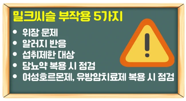 밀크씨슬 효능, 부작용, 복용시간과 추천 TOP5 완벽 정리