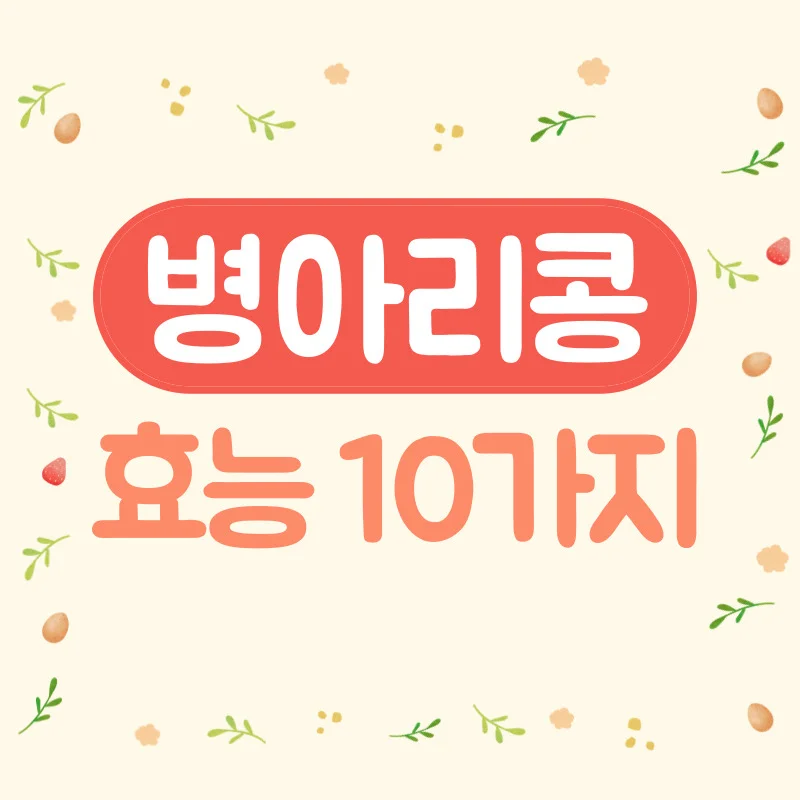 병아리콩 효능이 당뇨, 갱년기 증상, 빈혈, 탈모 예방까지 도움이 된다!