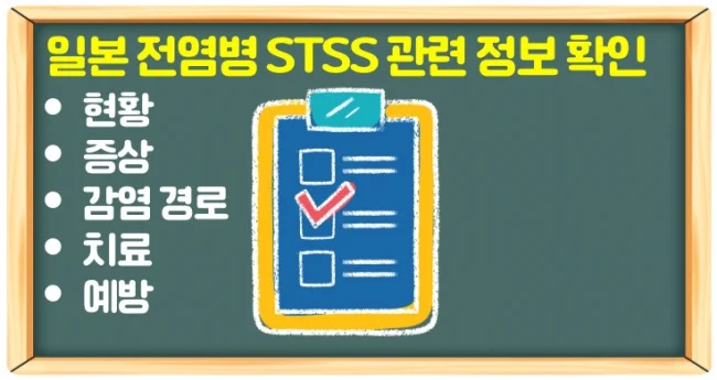 일본 전염병 STSS 증상 3가지와 치료 가능 유무 및 예방법 확인