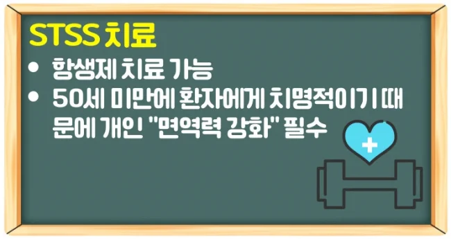 일본 전염병 STSS 증상 3가지와 치료 가능 유무 및 예방법 확인