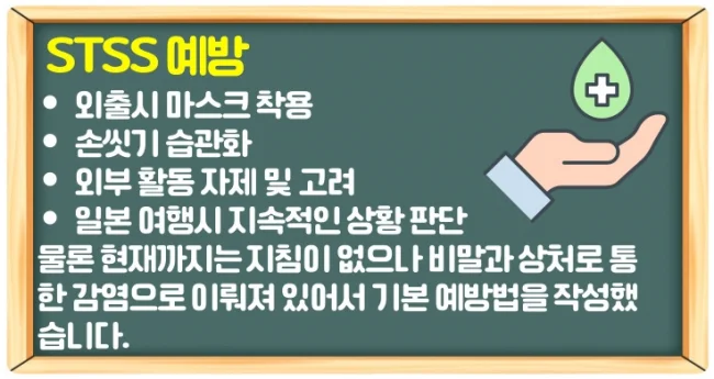 일본 전염병 STSS 증상 3가지와 치료 가능 유무 및 예방법 확인