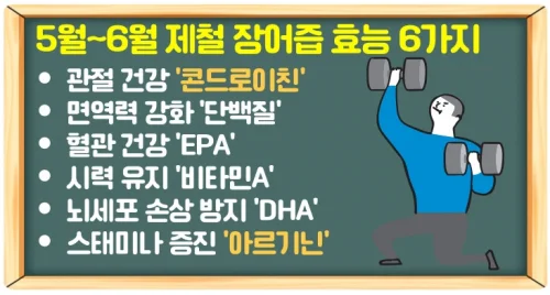 5월 제철 장어즙 효능 6가지와 칼로리 확인