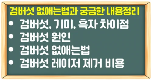 검버섯 없애는법과 레이저 제거 비용 점검하여 피부 개선