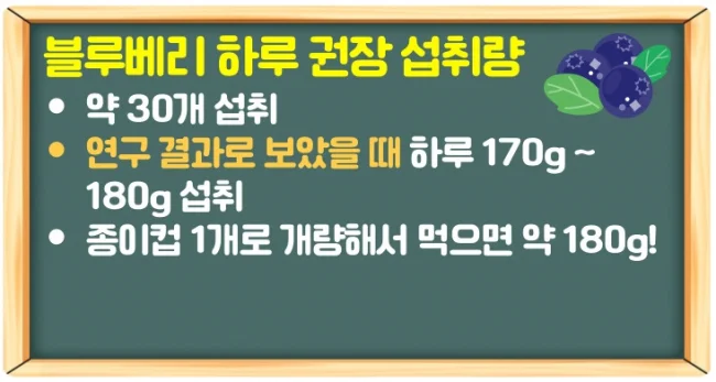 블루베리 효능 6가지와 하루 권장 칼로리 체크