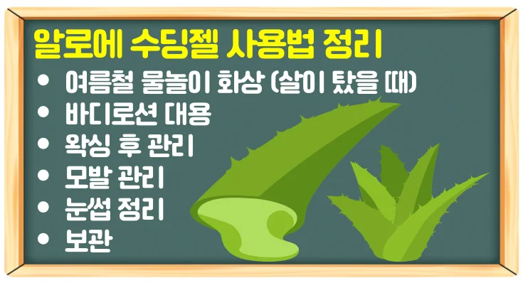 알로에 수딩젤 사용법과 효과 6가지 깔끔 정리