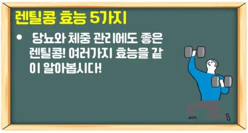 렌틸콩 효능과 부작용 알고 요리해서 먹는법(당뇨와 체중관리)