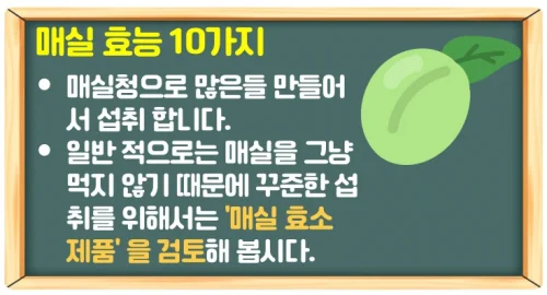 매실 효능 10가지와 제철시기 (매실청 담그기 좋은 시기)