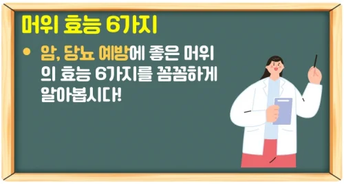 머위 효능 6가지와 독성 피해 먹는법 (암과 당뇨 예방)