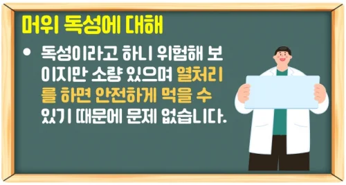 머위 효능 6가지와 독성 피해 먹는법 (암과 당뇨 예방)