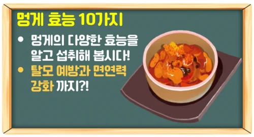 멍게 효능 10가지와 제철시기 (면역력과 탈모 예방)