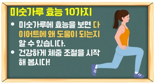 미숫가루 칼로리와 효능 10가지 알고 다이어트 시작해 보자