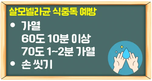 살모넬라균 식중독 증상 감염은 가열로 예방 (장염에 걸렸다면?)