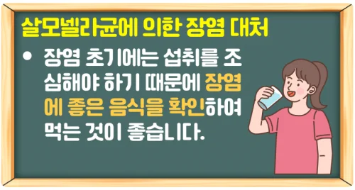 살모넬라균 식중독 증상 감염은 가열로 예방 (장염에 걸렸다면?)