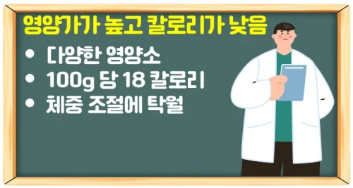 상추 효능 수면 유도는 효과가 없다? 정확한 건강 이점 알기