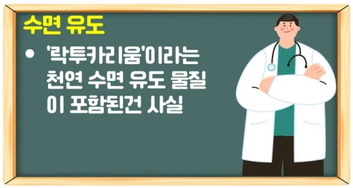 상추 효능 수면 유도는 효과가 없다? 정확한 건강 이점 알기