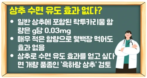 상추 효능 수면 유도는 효과가 없다? 정확한 건강 이점 알기