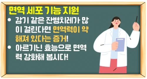 아르기닌 효능과 부작용 모르면 간수치 올라 간손상 올 수 있다!