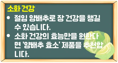 양배추 효능 8가지 꾸준히 먹는 법은 양배추 즙과 효소로 가능