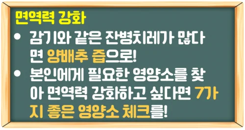 양배추 효능 8가지 꾸준히 먹는 법은 양배추 즙과 효소로 가능