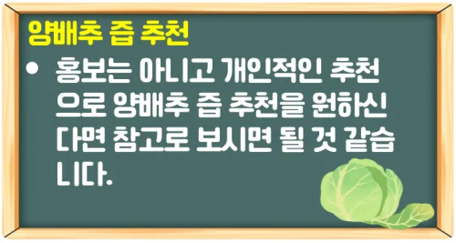 양배추 효능 8가지 꾸준히 먹는 법은 양배추 즙과 효소로 가능