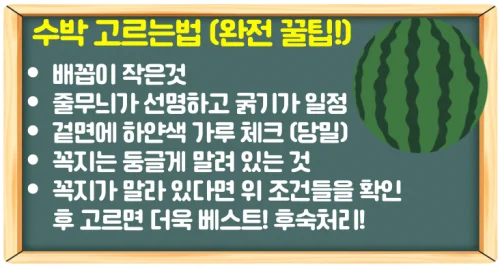 여름 제철 수박 고르는법과 효능 과섭취 방지 하루 권장량 체크!