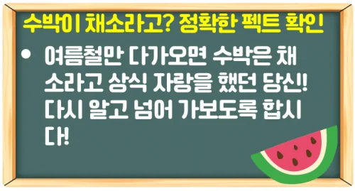 여름 제철 수박 고르는법과 효능 과섭취 방지 하루 권장량 체크!