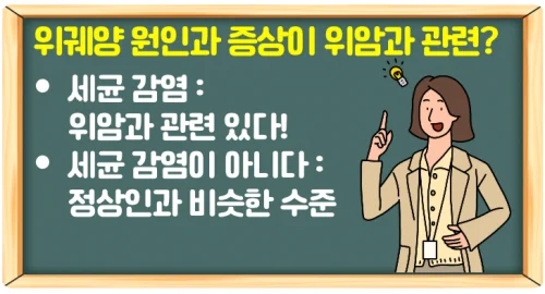 위궤양 원인과 증상이 위암과 관련이 있을까? 가능성 확인!