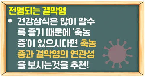 알레르기성 결막염 증상을 구분 못하면 전염이 된다