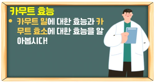 카무트 효소 효능과 부작용(당뇨와 다이어트 관리)