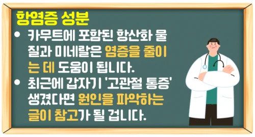 카무트 효소 효능과 부작용(당뇨와 다이어트 관리)