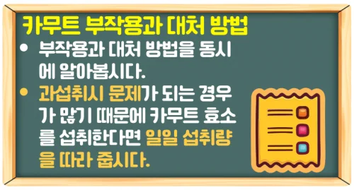 카무트 효소 효능과 부작용(당뇨와 다이어트 관리)