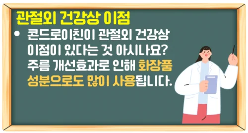 콘드로이친 효능과 부작용 관절 건강을 위한 추천 영양제