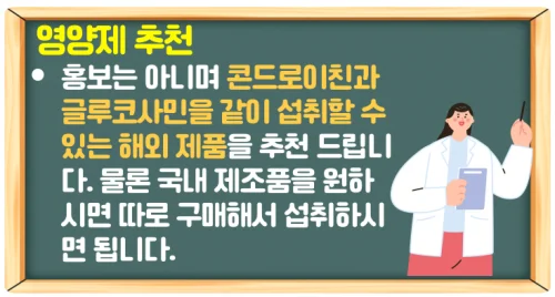 콘드로이친 효능과 부작용 관절 건강을 위한 추천 영양제