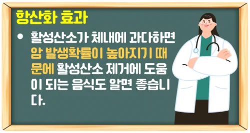 파인애플 효소 효능과 브로멜라인 부작용을 알아보자