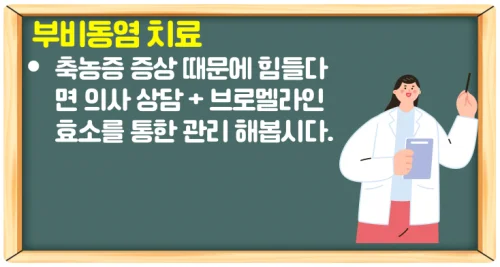 파인애플 효소 효능과 브로멜라인 부작용을 알아보자